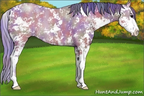 Horse Color:Nacre Watercolor Grullo Sabino