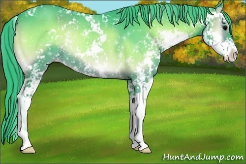 Horse Color:Watercolor Blue Onyx Sabino Rabicano 