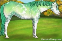 Horse Color:Watercolor Blue Onyx Sabino Rabicano 