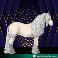 Horse Color:Cremello Splash  and Cremello Splash 