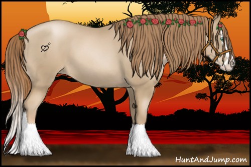 Horse Color:Smoky Black Pearl Splash