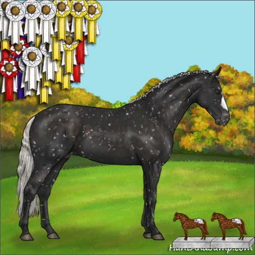 Horse Color:Liver Chestnut Mushroom Snowflake Varnish