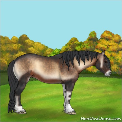 Horse Color:Brown Onyx