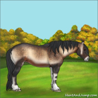 Horse Color:Brown Onyx