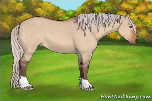 Horse Color:Silver Brown Dun