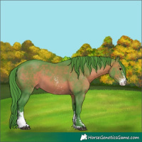 Horse Color:Watercolor Brown Sabino