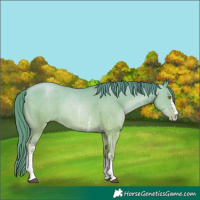 Horse Color:Watercolor Bay Pearl Dun Sabino 