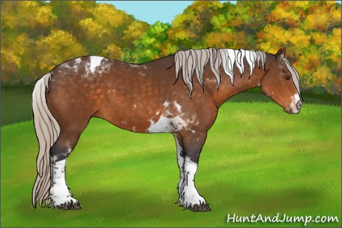 Horse Color:Silver Buckskin Tobiano 