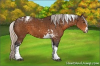 Horse Color:Silver Buckskin Tobiano 