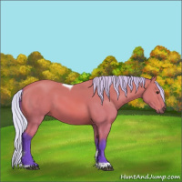 Horse Color:Watercolor Silver Bay Sabino Tobiano