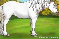 Horse Color:Smoky Grullo Splash Tobiano Frame Near Leopard