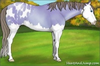 Horse Color:Watercolor Sable Cream Champagne Pearl Splash Blanket 
