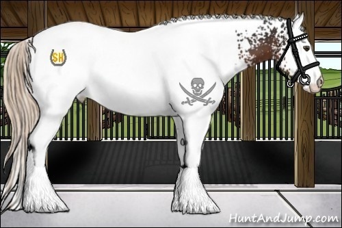 Horse Color:White Spotted Liver Chestnut Snowcap