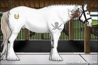Horse Color:White Spotted Liver Chestnut Snowcap 