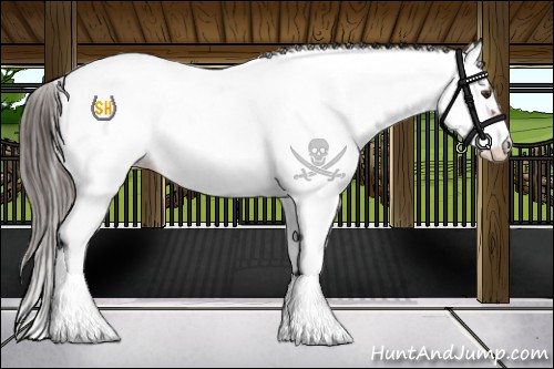Horse Color:Liver Chestnut Sabino Fewspot