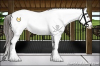 Horse Color:Liver Chestnut Sabino Fewspot