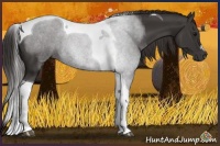 Horse Color:Smoky Black Tobiano Rabicano 