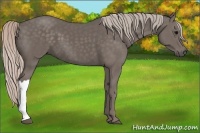 Horse Color:Silver Black 