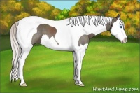 Horse Color:Silver Black Sabino Splash Tobiano