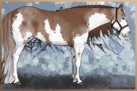 Horse Color:White Spotted Liver Chestnut Splash 