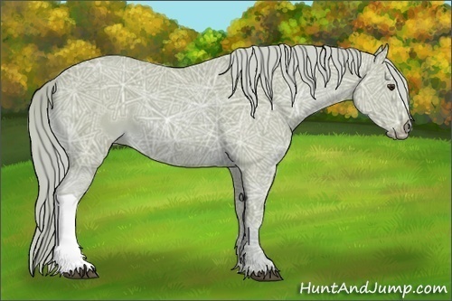 Horse Color:Watercolor Chestnut Ice 