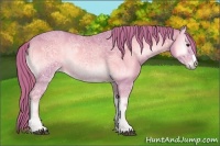 Horse Color:Watercolor Red Onyx Ice 