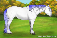 Horse Color:Gray Watercolor Bay Ice Onyx
