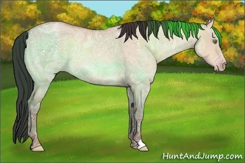 Horse Color:Amber Champagne Ice Dun 