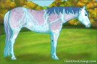 Horse Color:Thunderstruck Watercolor Bay Ice Onyx Splash