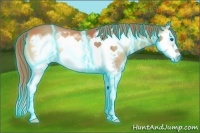 Horse Color:Thunderstruck Red Onyx Splash Frame 