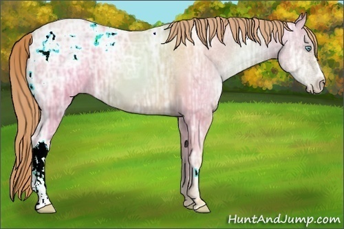Horse Color:Gold Champagne Ice Pearl 