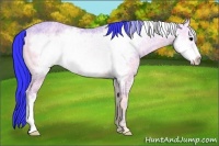 Horse Color:Watercolor Brown Ice Onyx Frame 