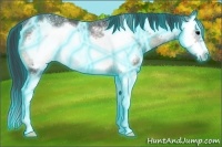 Horse Color:Thunderstruck Blue Onyx Ice Splash Frame