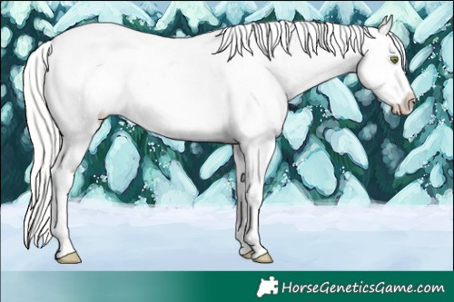 Horse Color:White Spotted Midnight Silver Amber Champagne Ice Roan Dun Appaloosa Rabicano 