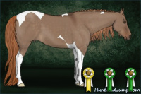 Horse Color:Liver Red Dun Tobiano 
