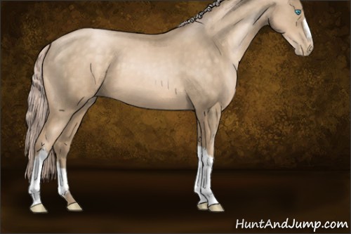 Horse Color:Chocolate Palomino Pearl 
