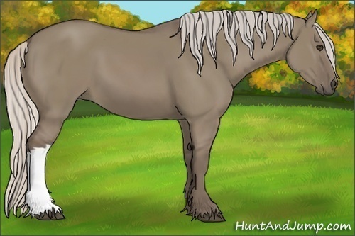 Horse Color:Silver Grullo