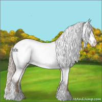 Horse Color:Chocolate Palomino Appaloosa Rabicano