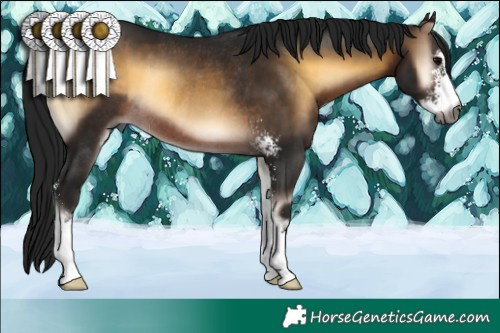 Horse Color:Gray Brown Onyx Sabino Rabicano 