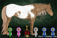 Horse Color:Chocolate Palomino Snowcap 