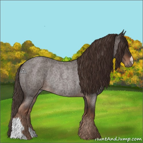 Horse Color:Liver Red Roan Rabicano