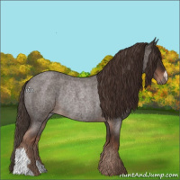 Horse Color:Liver Red Roan Rabicano 