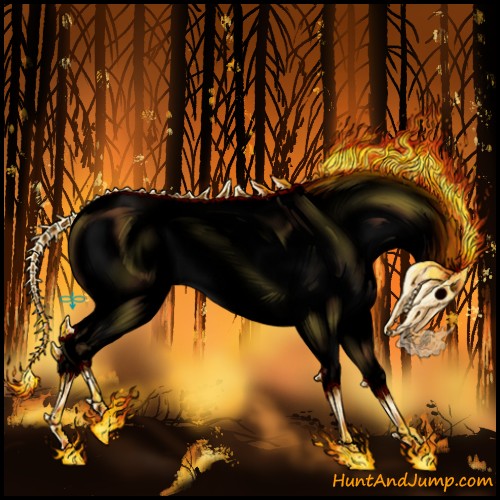 Horse Color:Void White Spotted Bay Dun Splash Appaloosa 