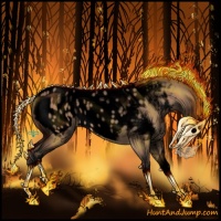 Horse Color:Void Bay Dun Sabino Splash Appaloosa 