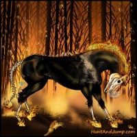 Horse Color:Void White Spotted Buckskin Dun Splash Snowcap 