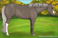 Horse Color:Silver Black 