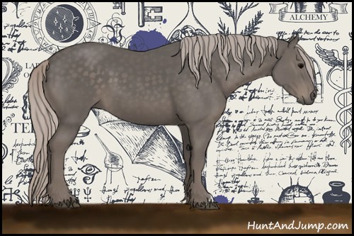 Horse Color:Silver Black 