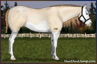 Horse Color:Buckskin Pearl Dun Splash 