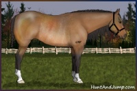 Horse Color:Buckskin Rabicano 