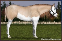 Horse Color:Buckskin Pearl Splash Rabicano 